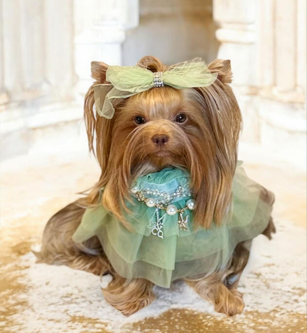 Royal Birthday: Sandringham