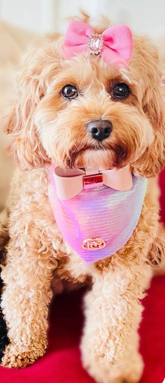 The Birds of Paradise Scarf