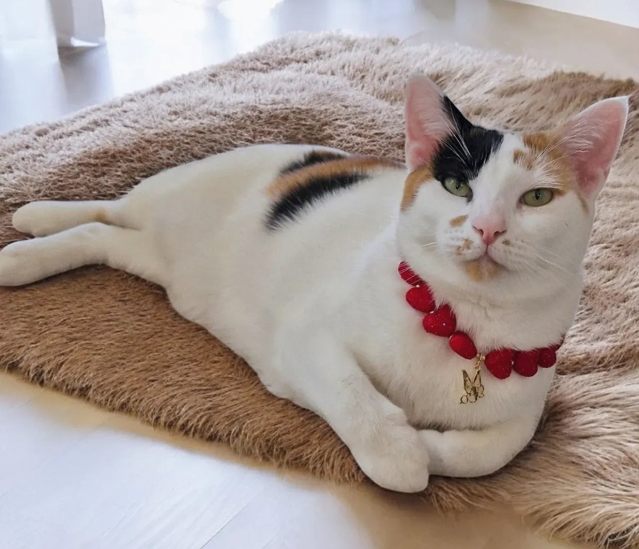 Signature Romance: Scarlet Heart Necklace