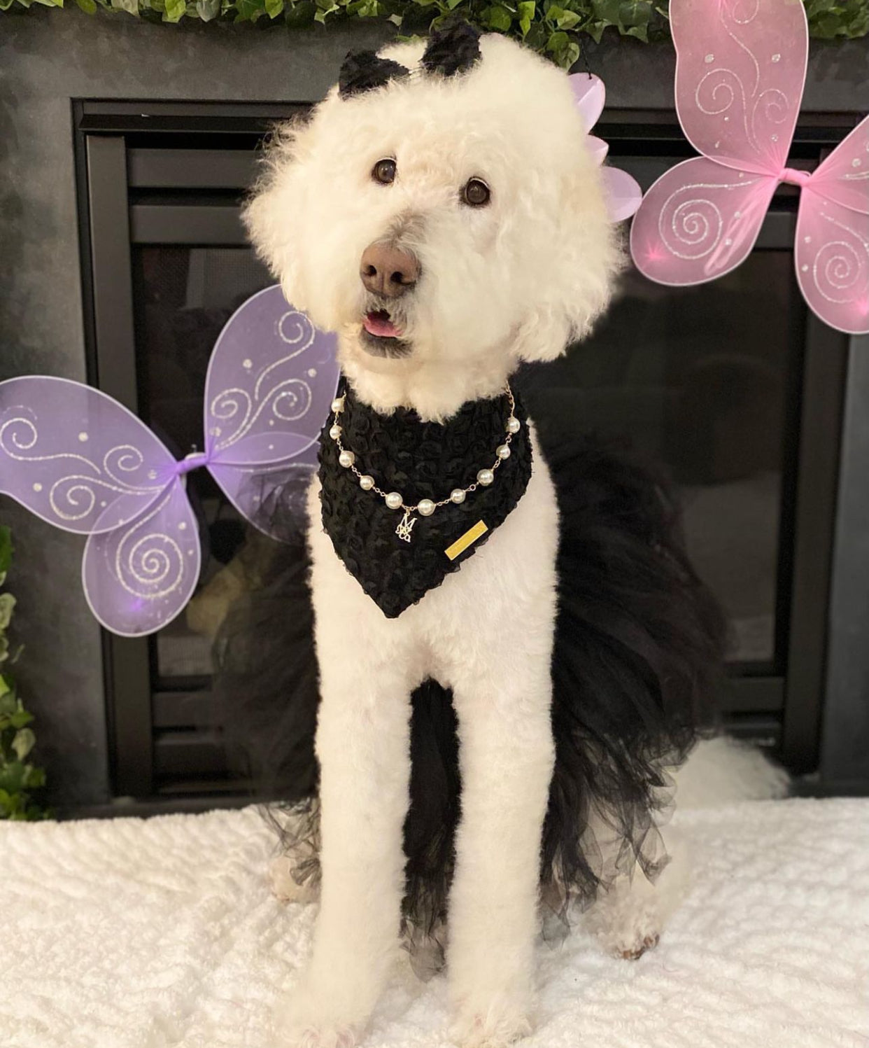 The Iconic Pearl Necklace