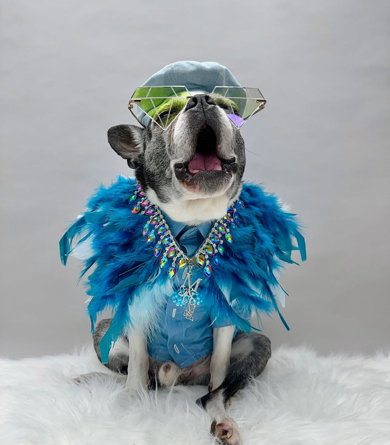 Fairytale Feathers: The Ariel