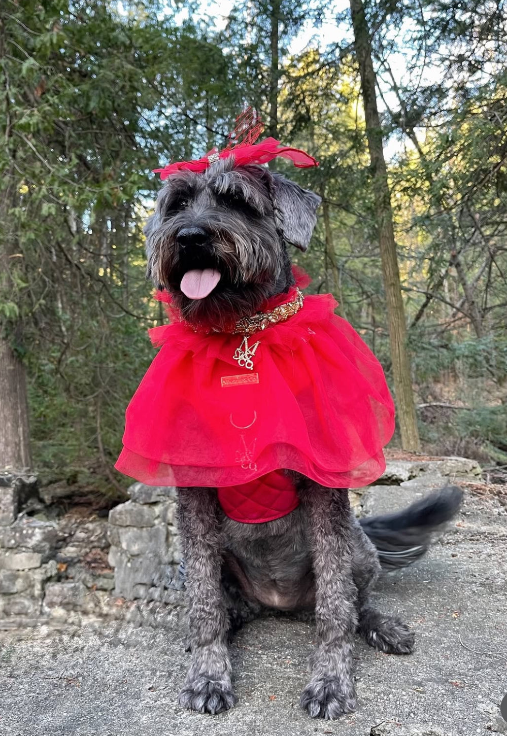 Royal Birthday: My Love