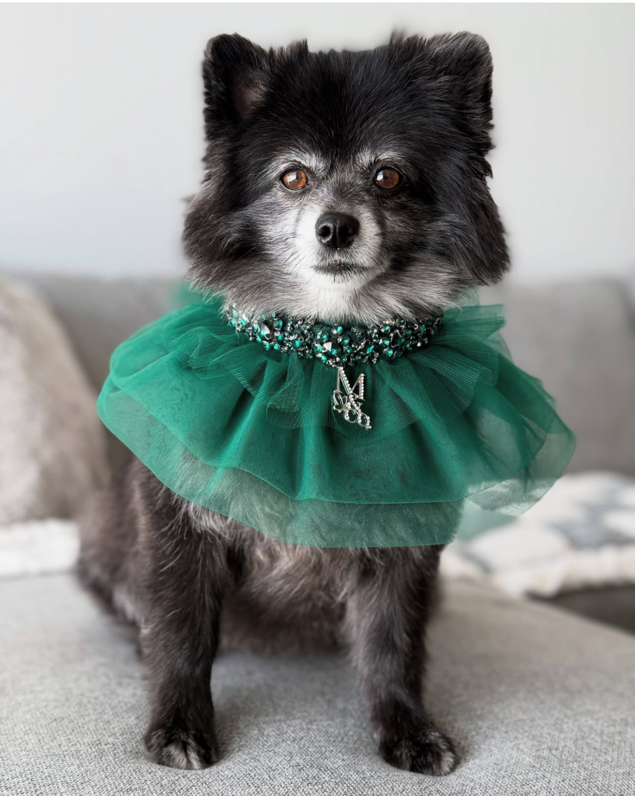 Signature: Green with Envy