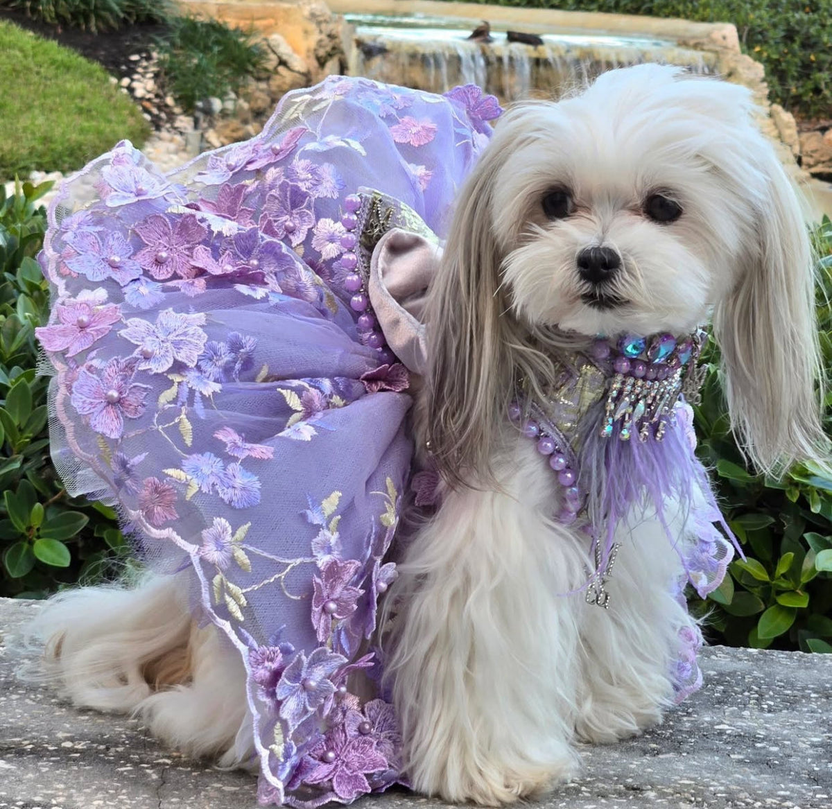 Shades of Lavender Tutu