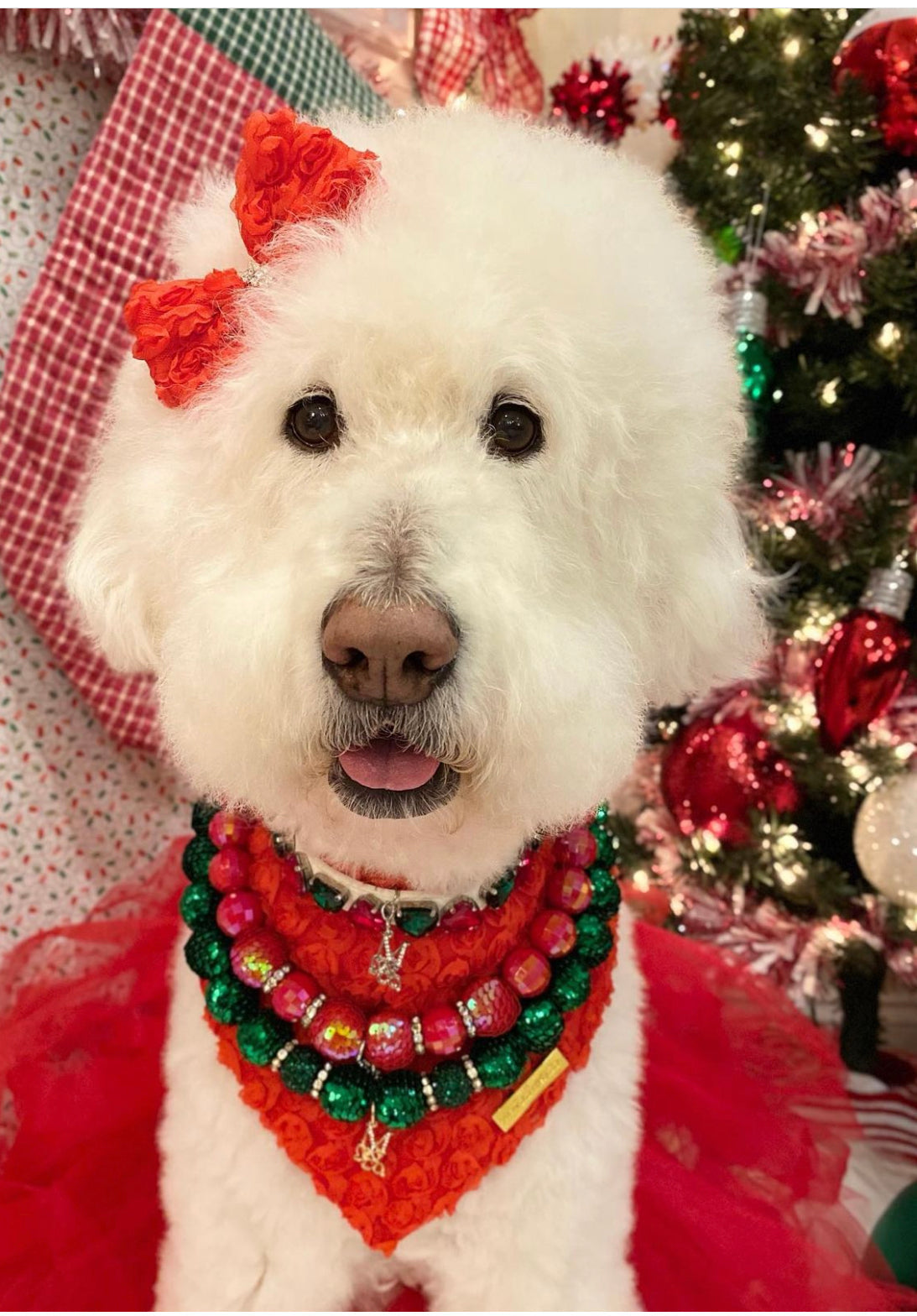 Forever Bliss: Scarlet