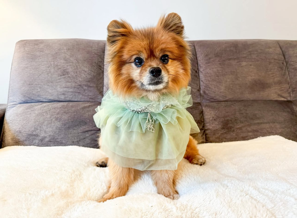 Royal Birthday: Sandringham