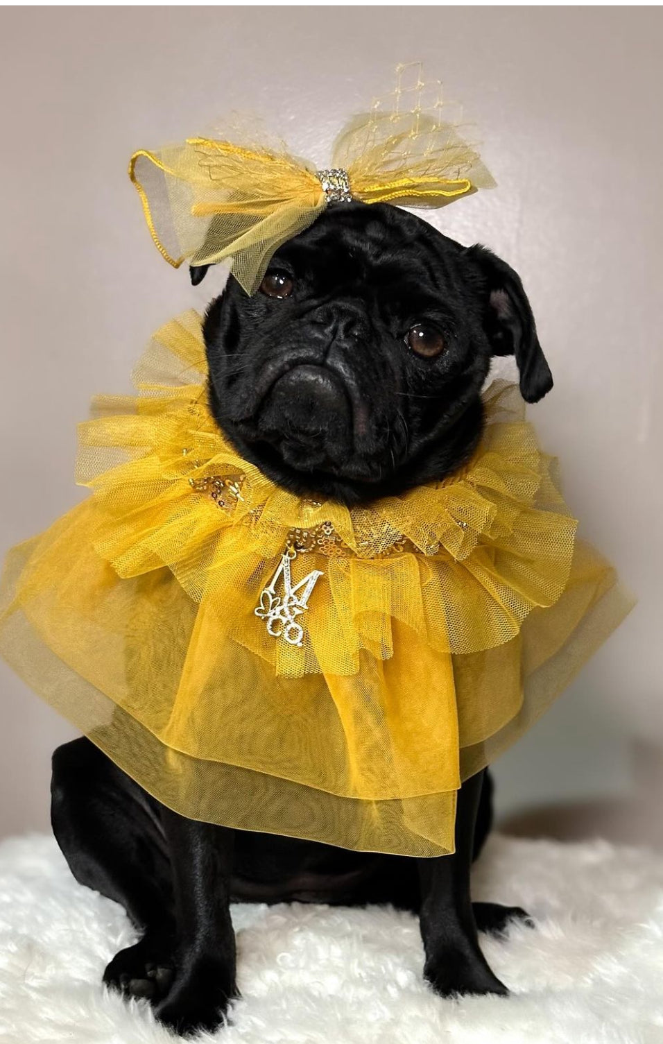 Holiday: All That Glitters Is Gold