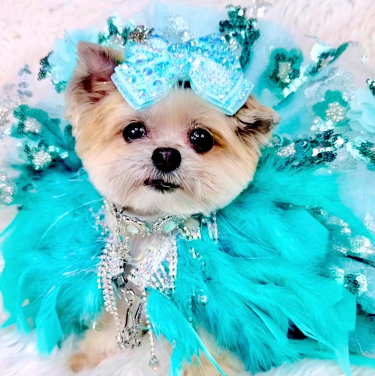 Fairytale Feathers: The Jasmine