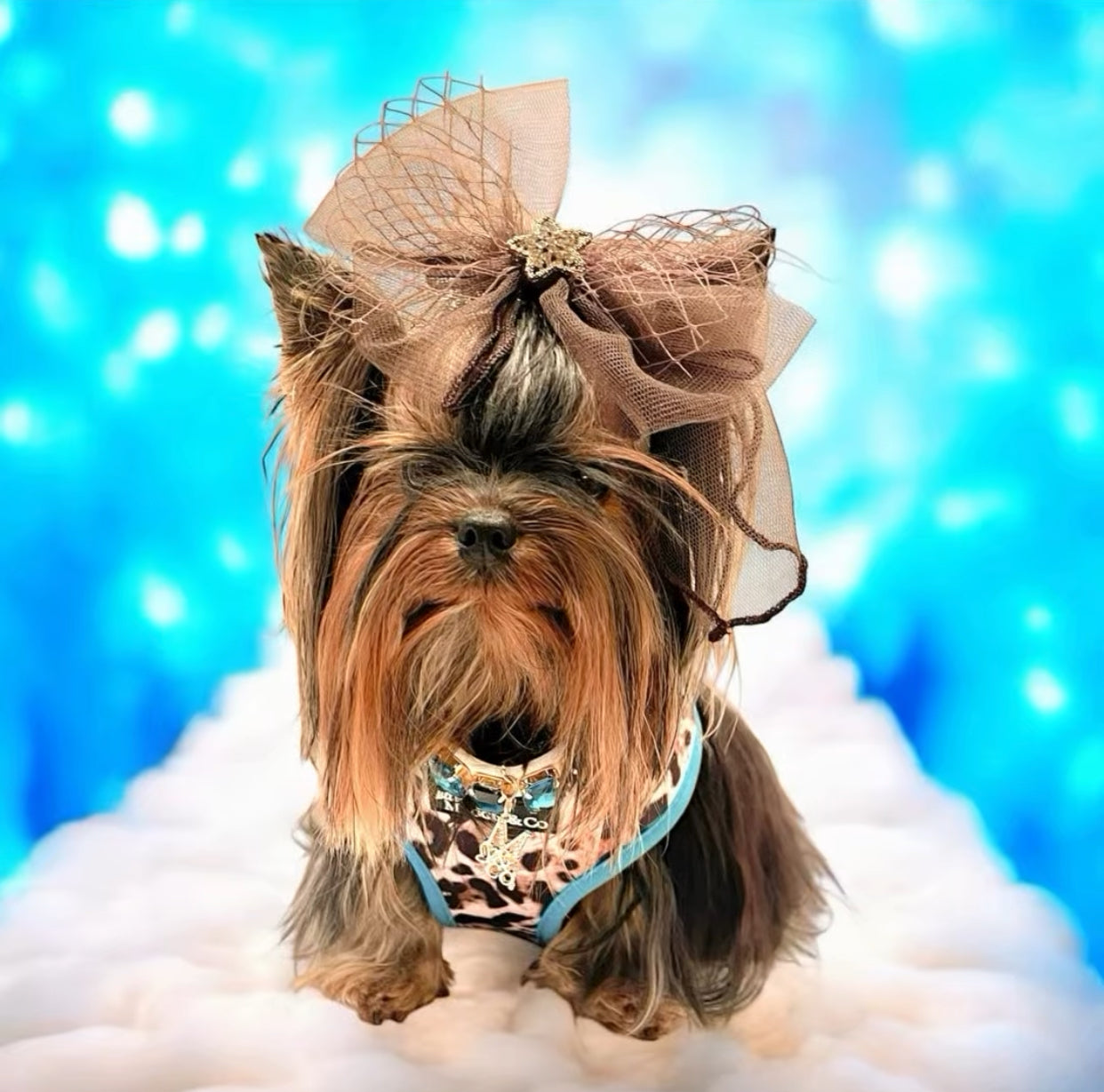 Exotic Reversible Harness