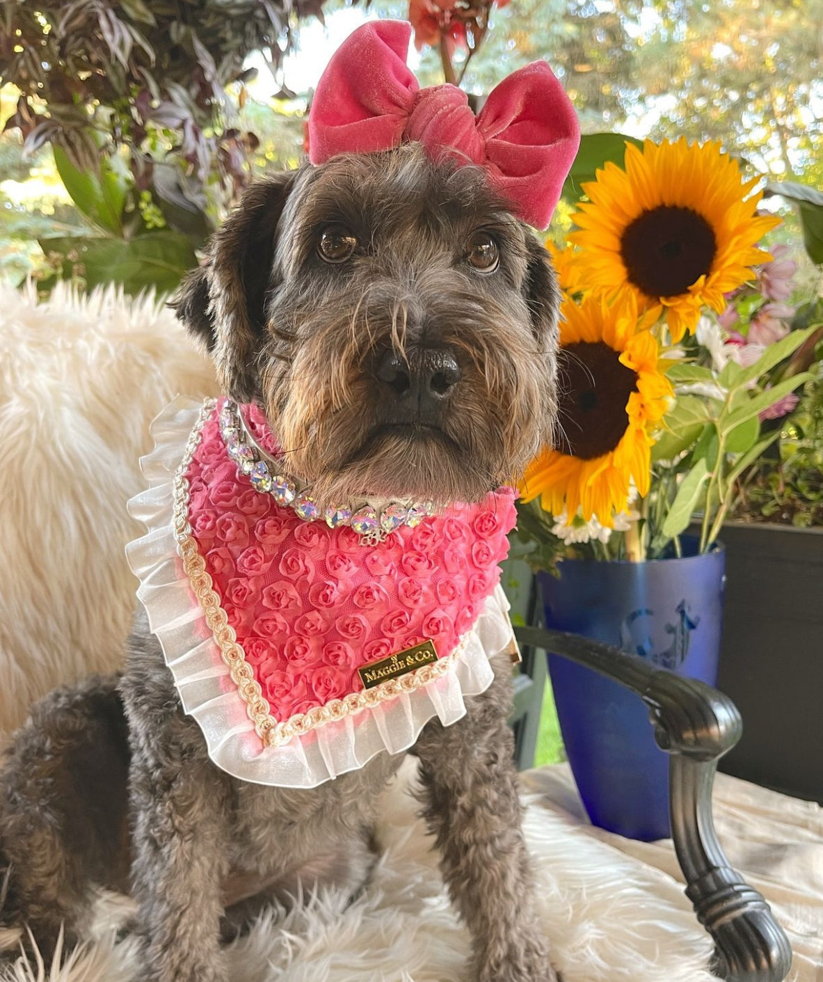 Forever Bliss: Miss Bailey