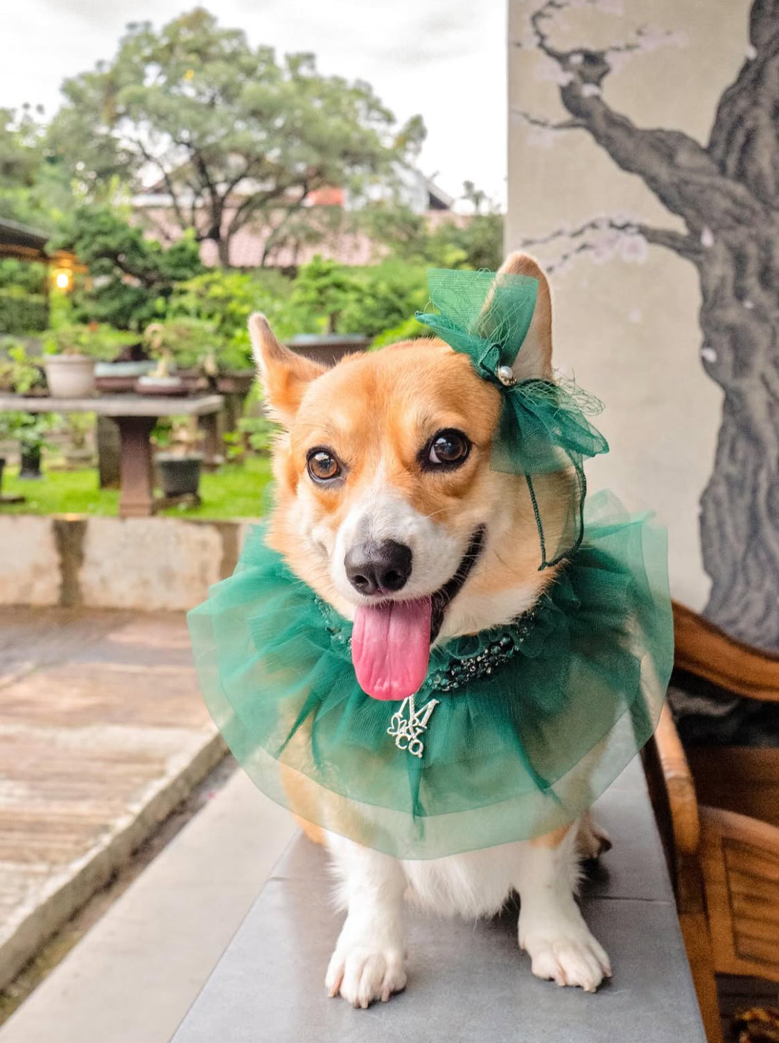 Signature: Green with Envy