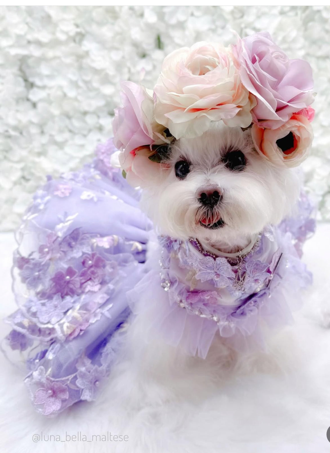 Shades of Lavender Tutu
