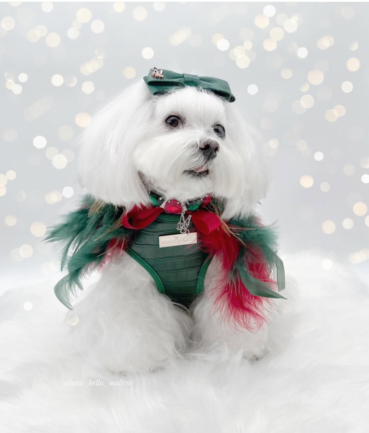 Haute Feathers Necklace: Tis the Season