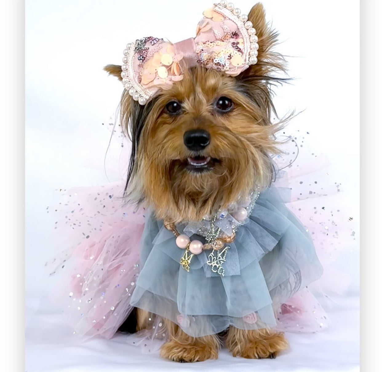 Holiday: Pewter Luster