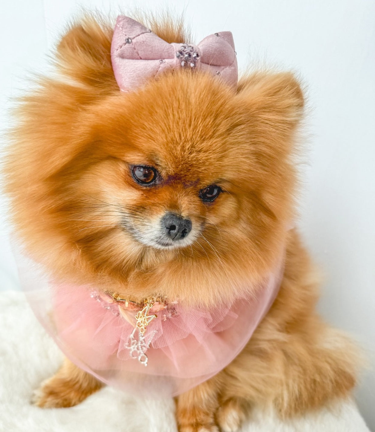 Signature II: High Maintenance