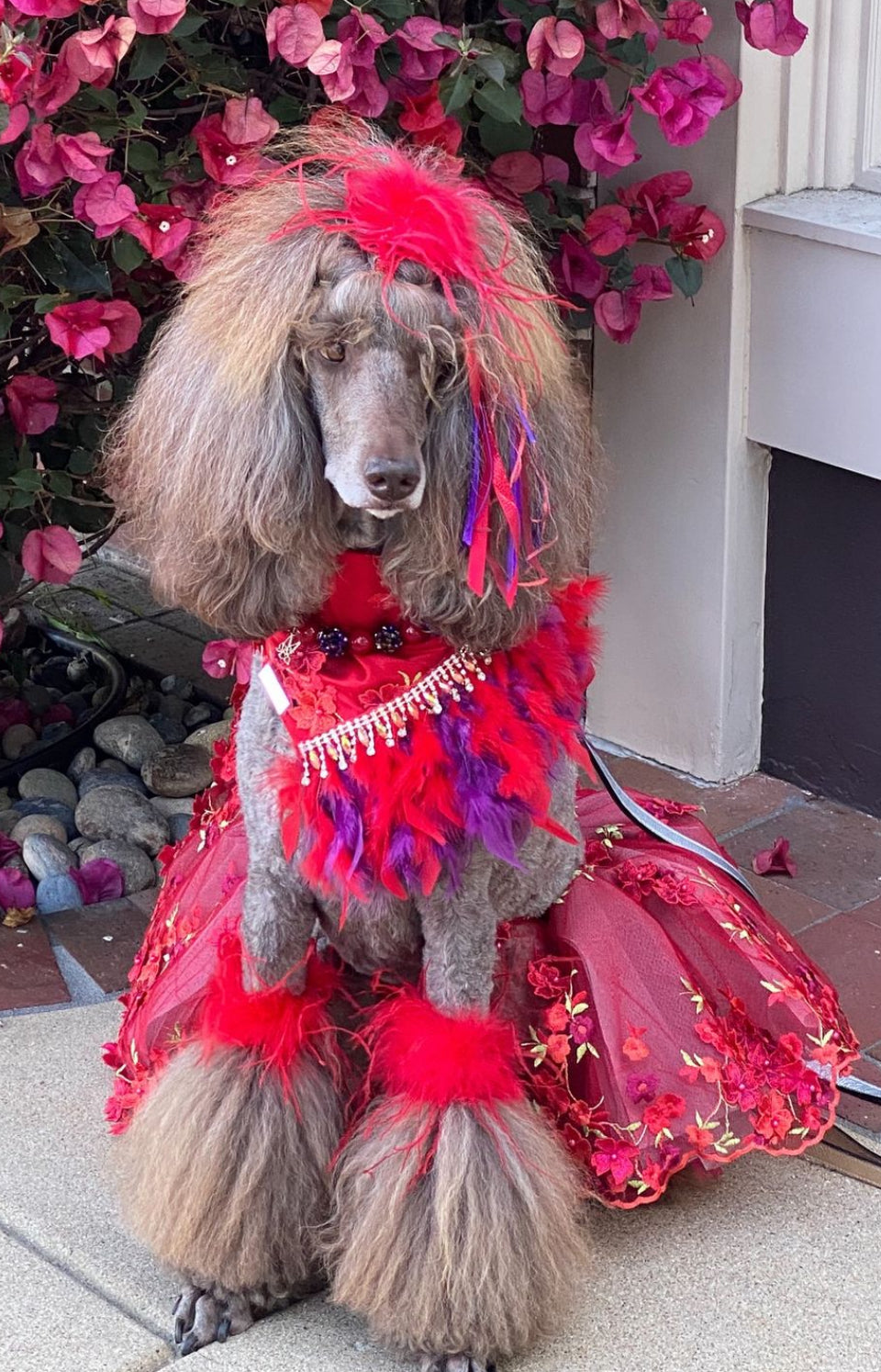 Formal Affair: Cheers (with feathers)