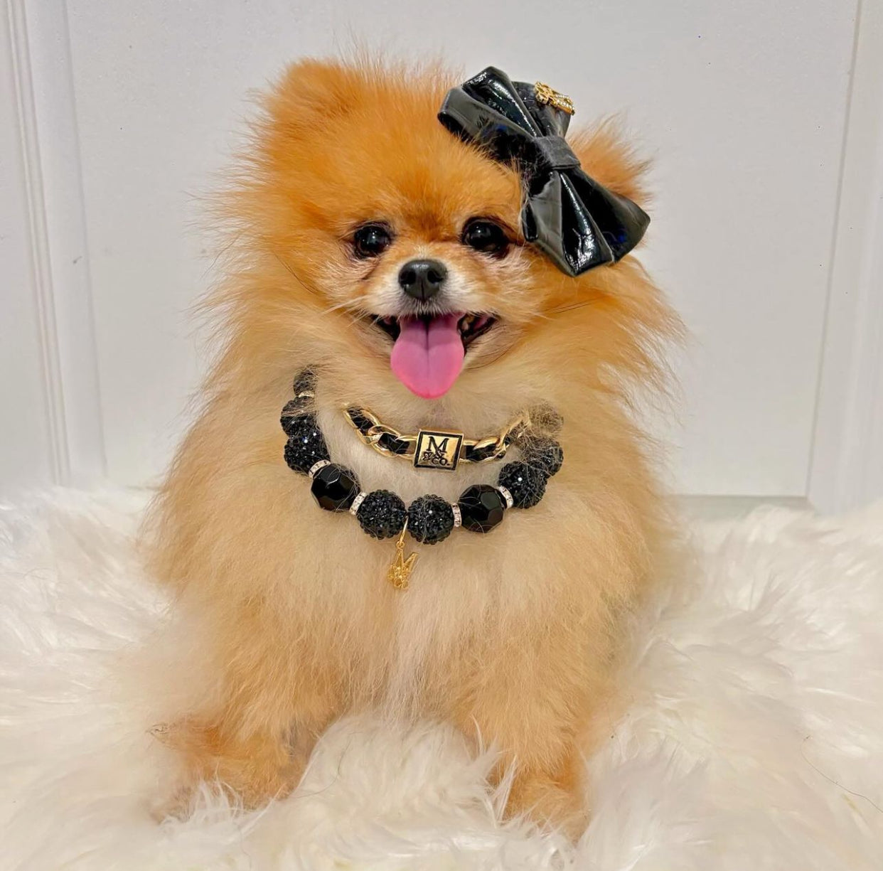 Necklace: Black Onyx