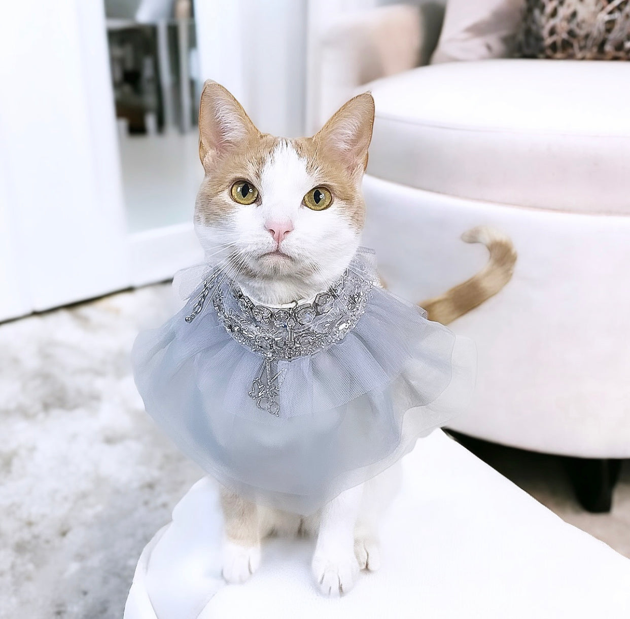 Holiday: Pewter Luster