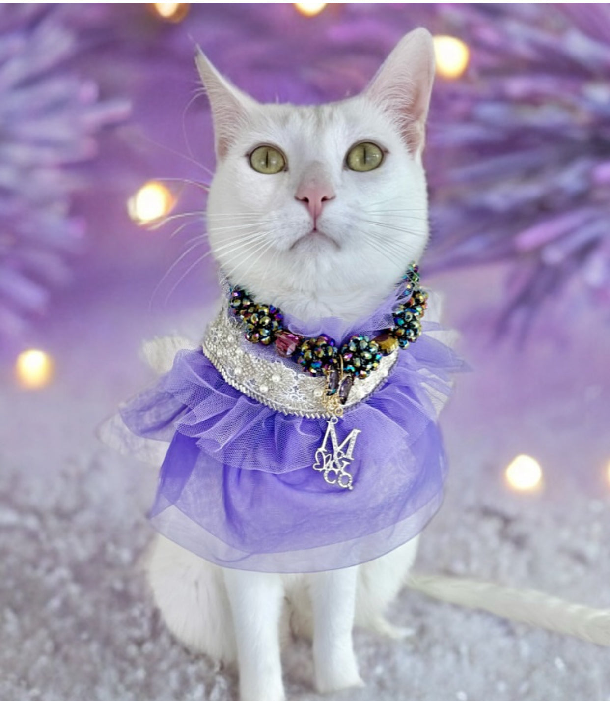 Royal Birthday: La Belle Vie