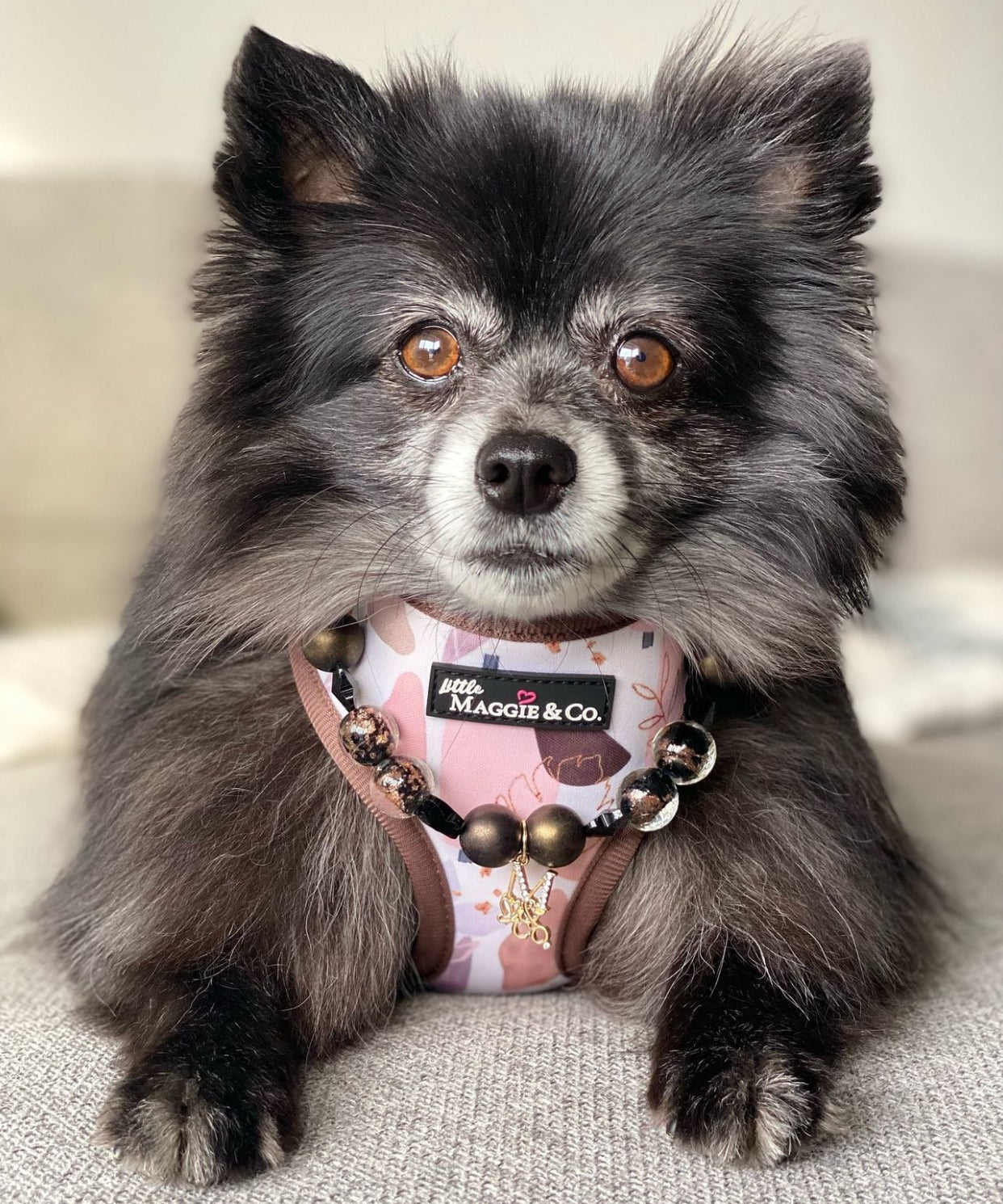 Essential Bundle: Opulent