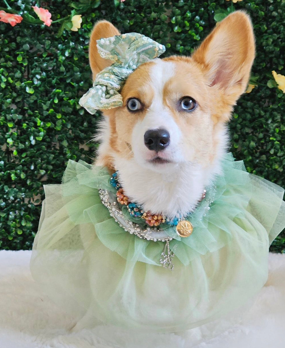 Royal Birthday: Sandringham