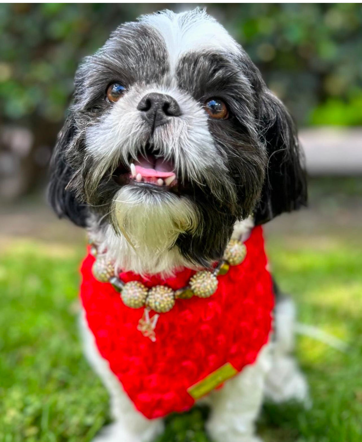 Forever Bliss: Scarlet