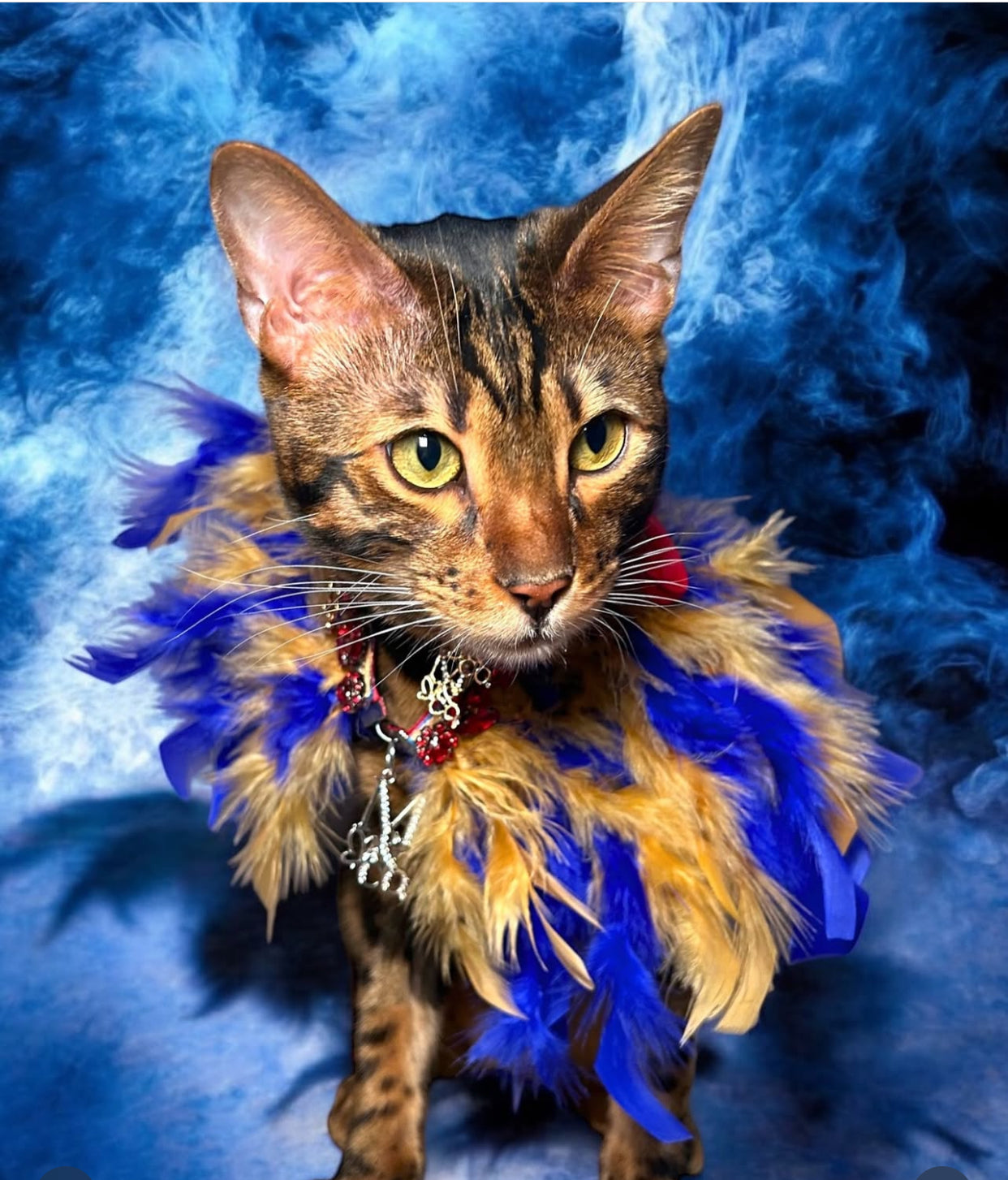 Fairytale Feathers: The Snow White