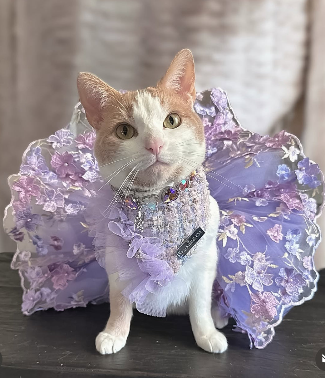 Shades of Lavender Tutu