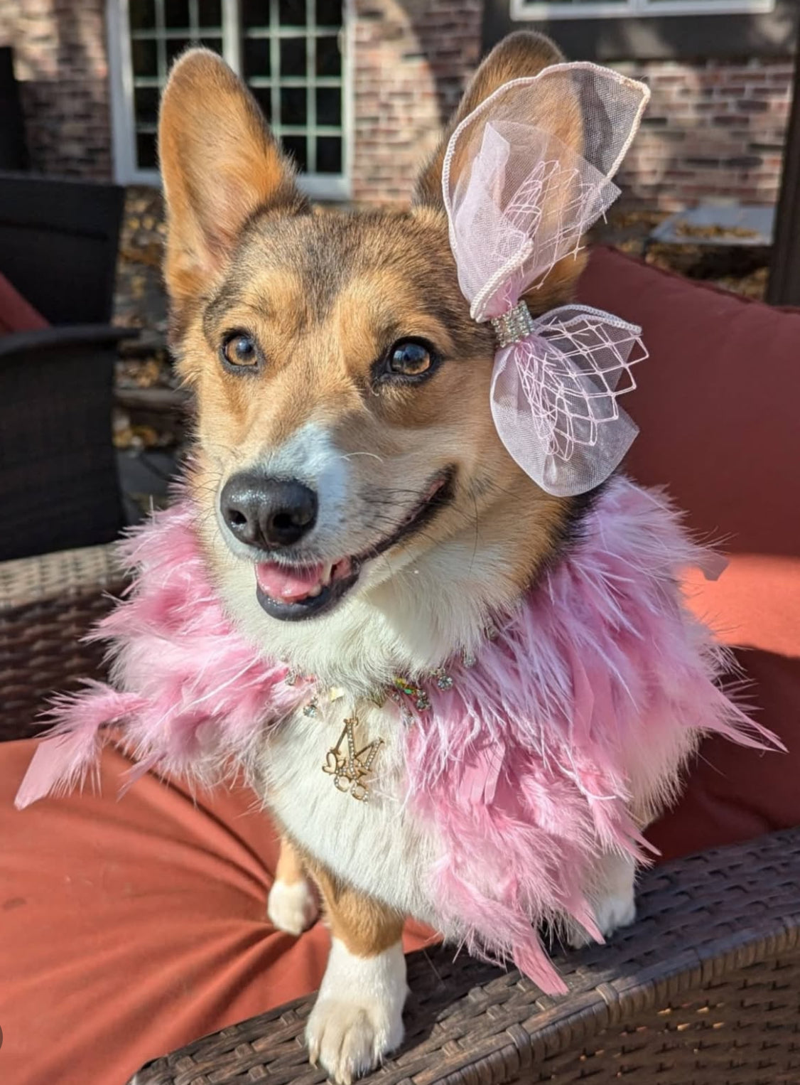 Fairytale Feathers: The Aurora