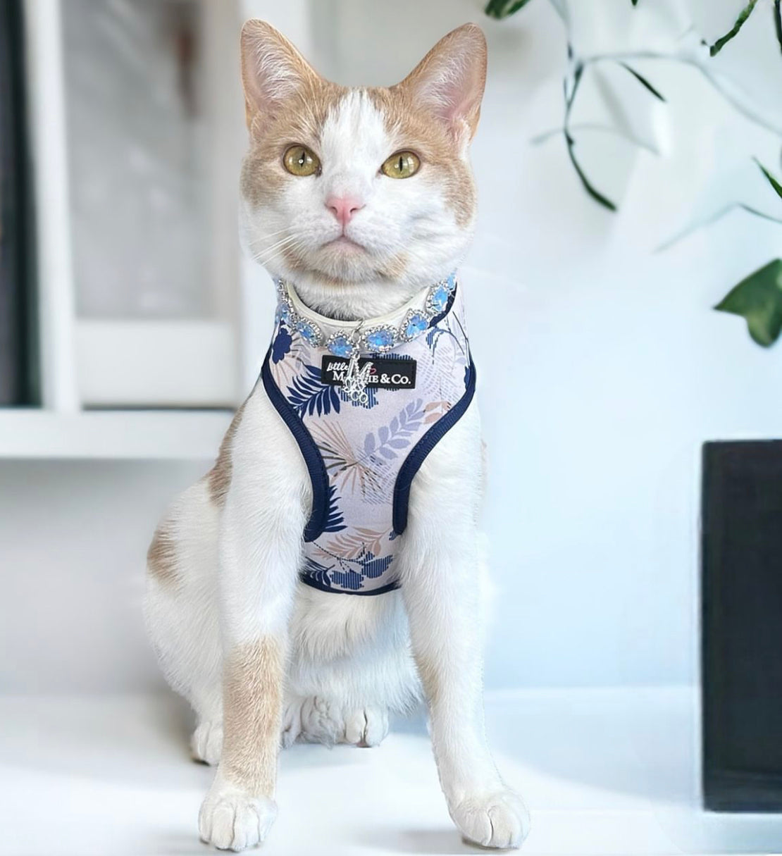 Breezy Reversible Harness