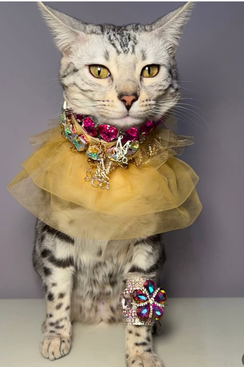 Signature: Golden Era