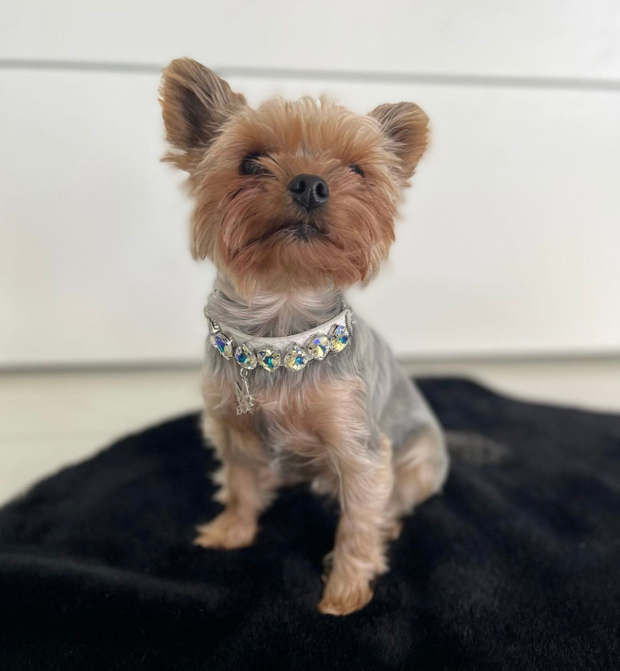 Gem Necklace: Like a Diamond