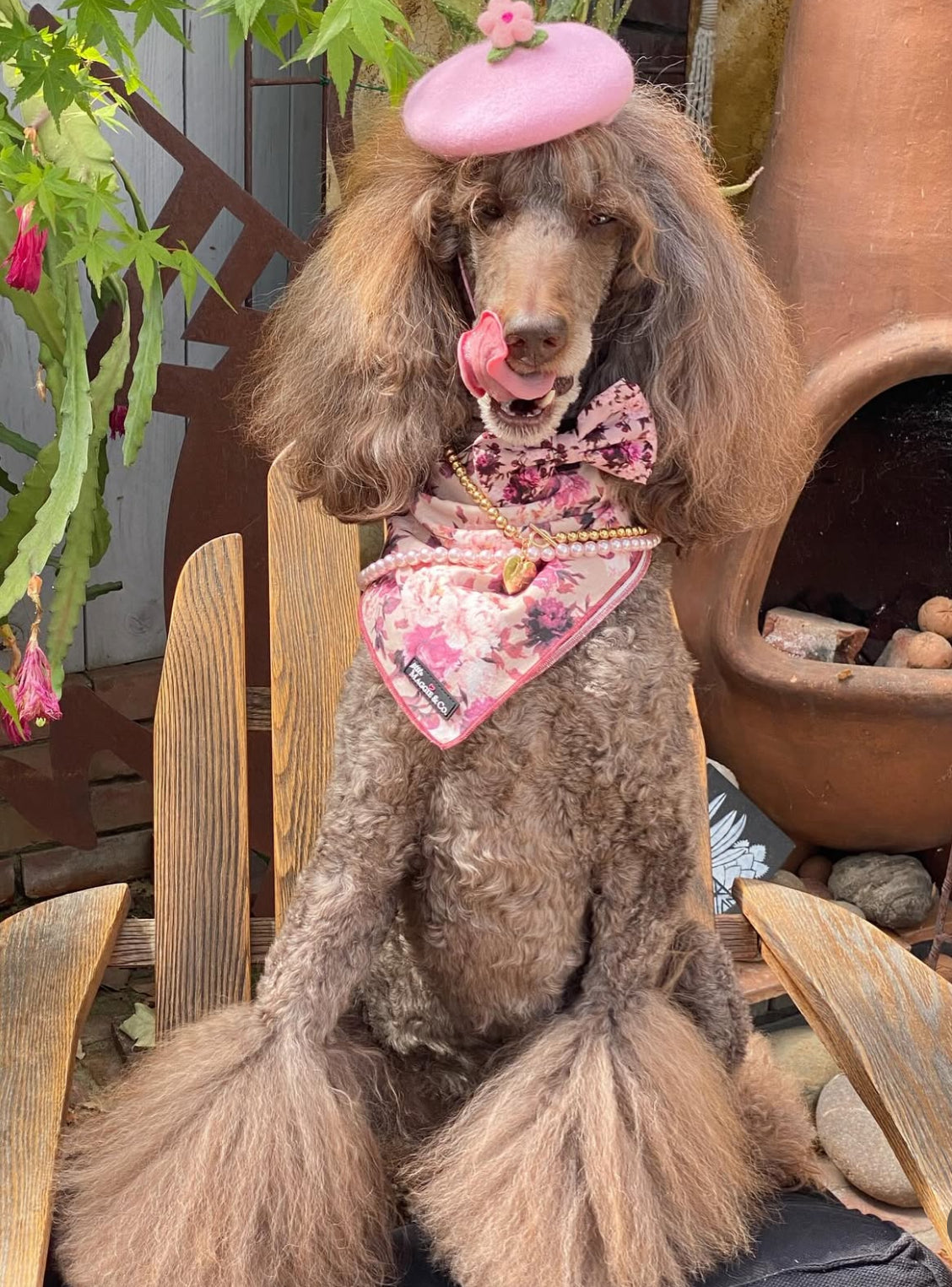 The Maggie Cotton Bandana