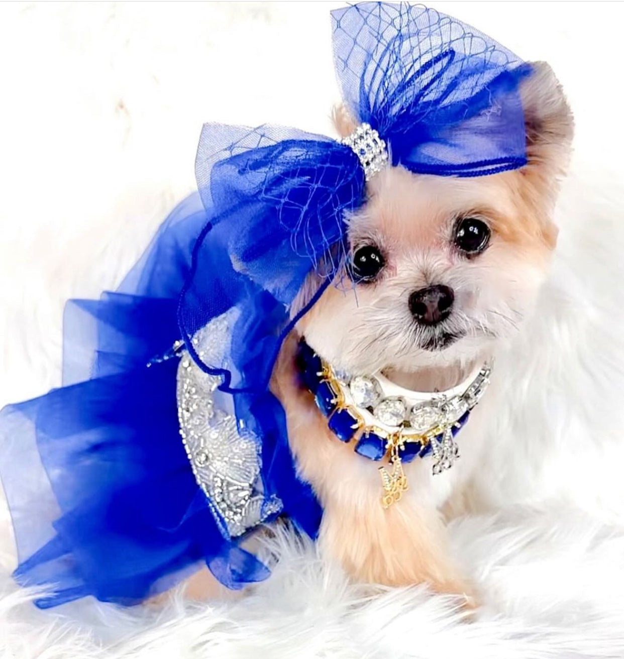 Royal Birthday: Kensington