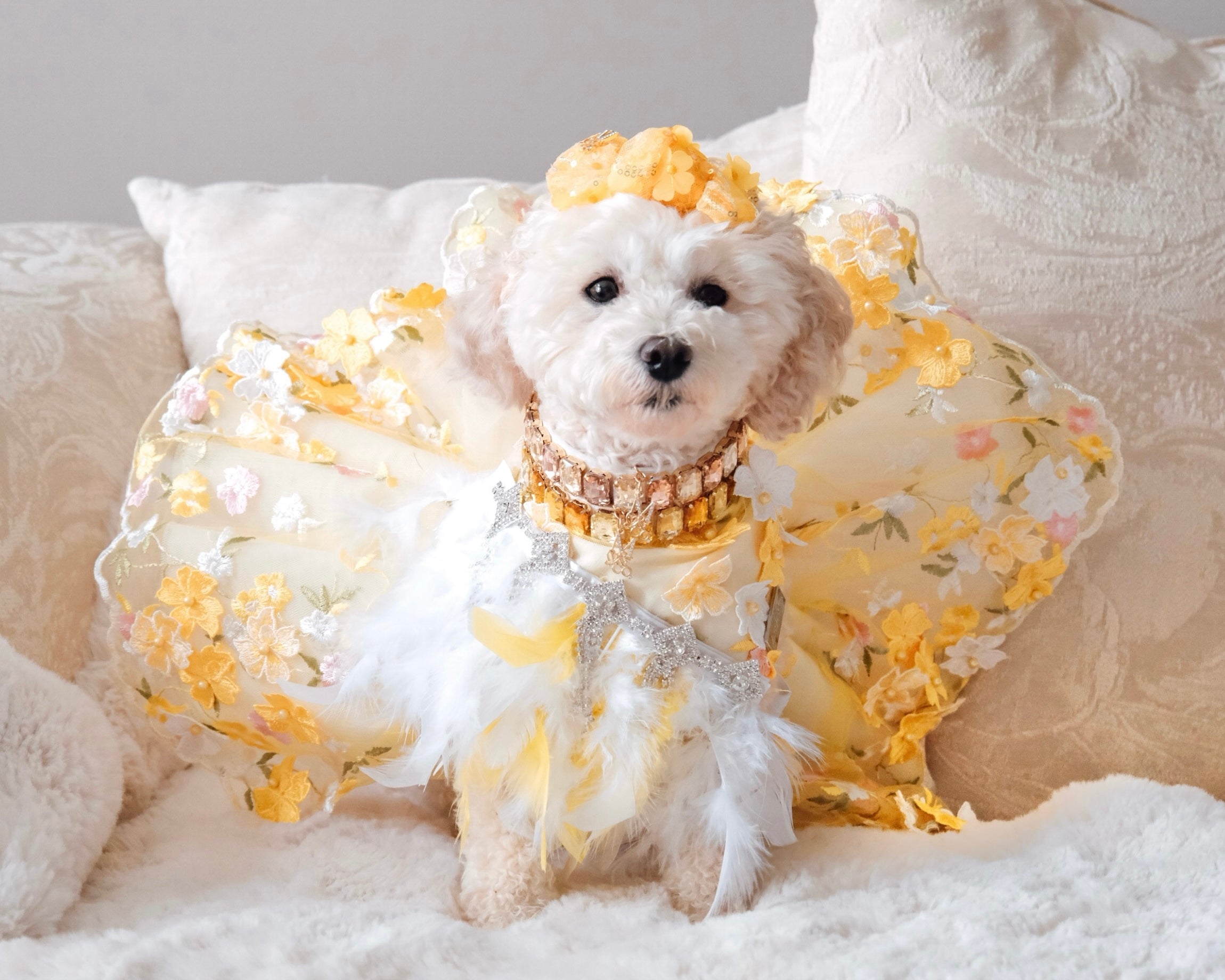 Formal Affair: My Sunshine Bandana (with feathers)