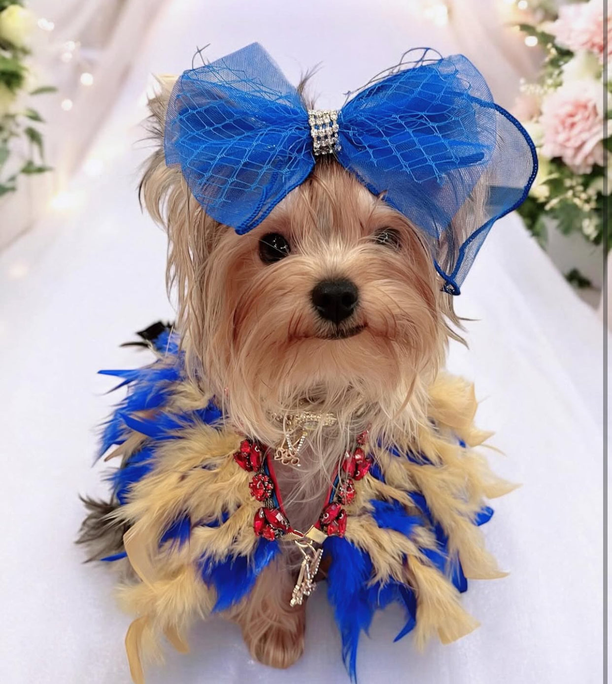 Fairytale Feathers: The Snow White