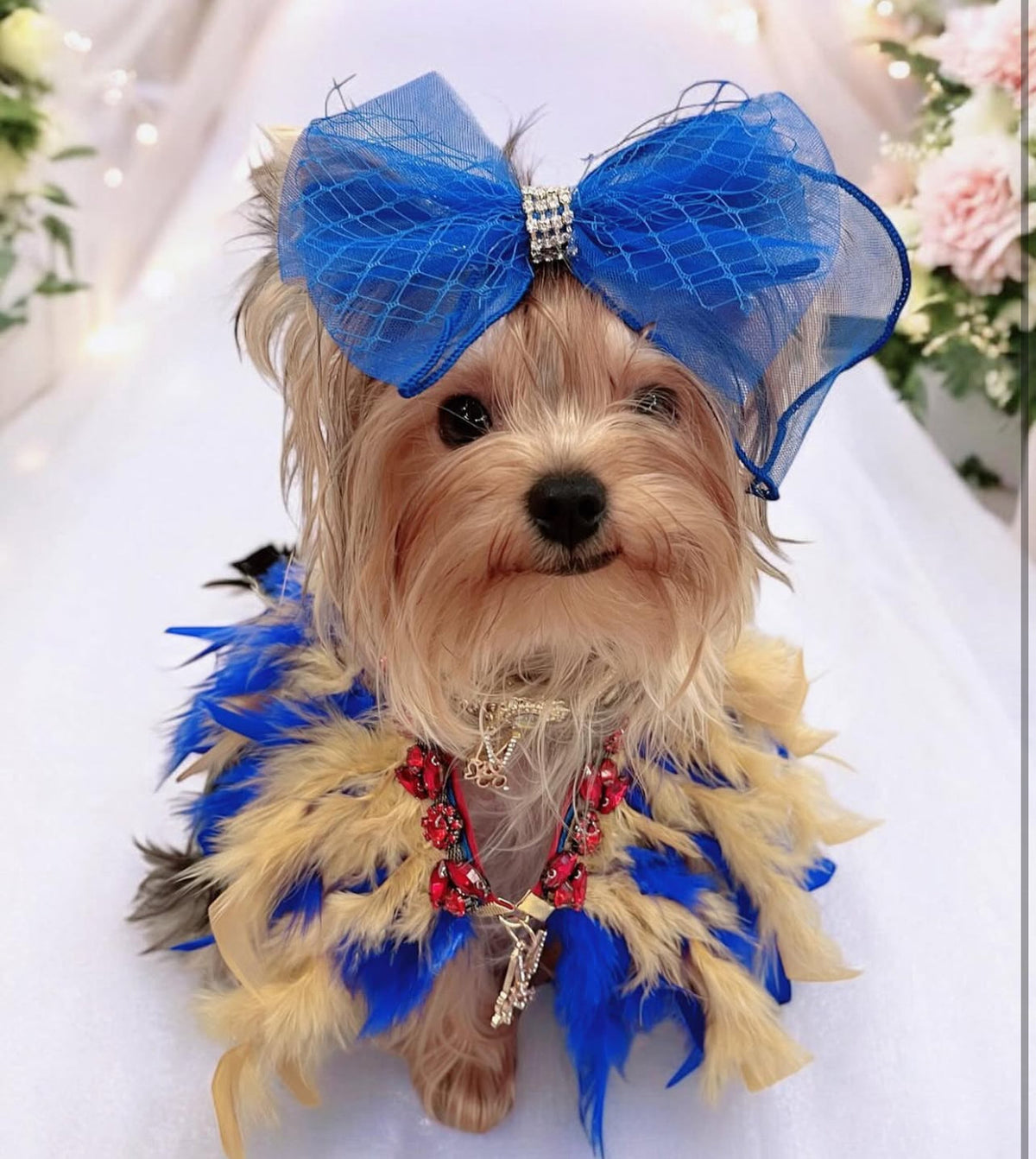 Fairytale Feathers: The Snow White