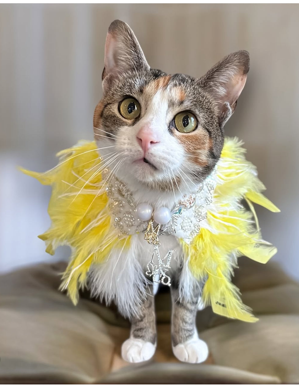 Fairytale Feathers: The Belle