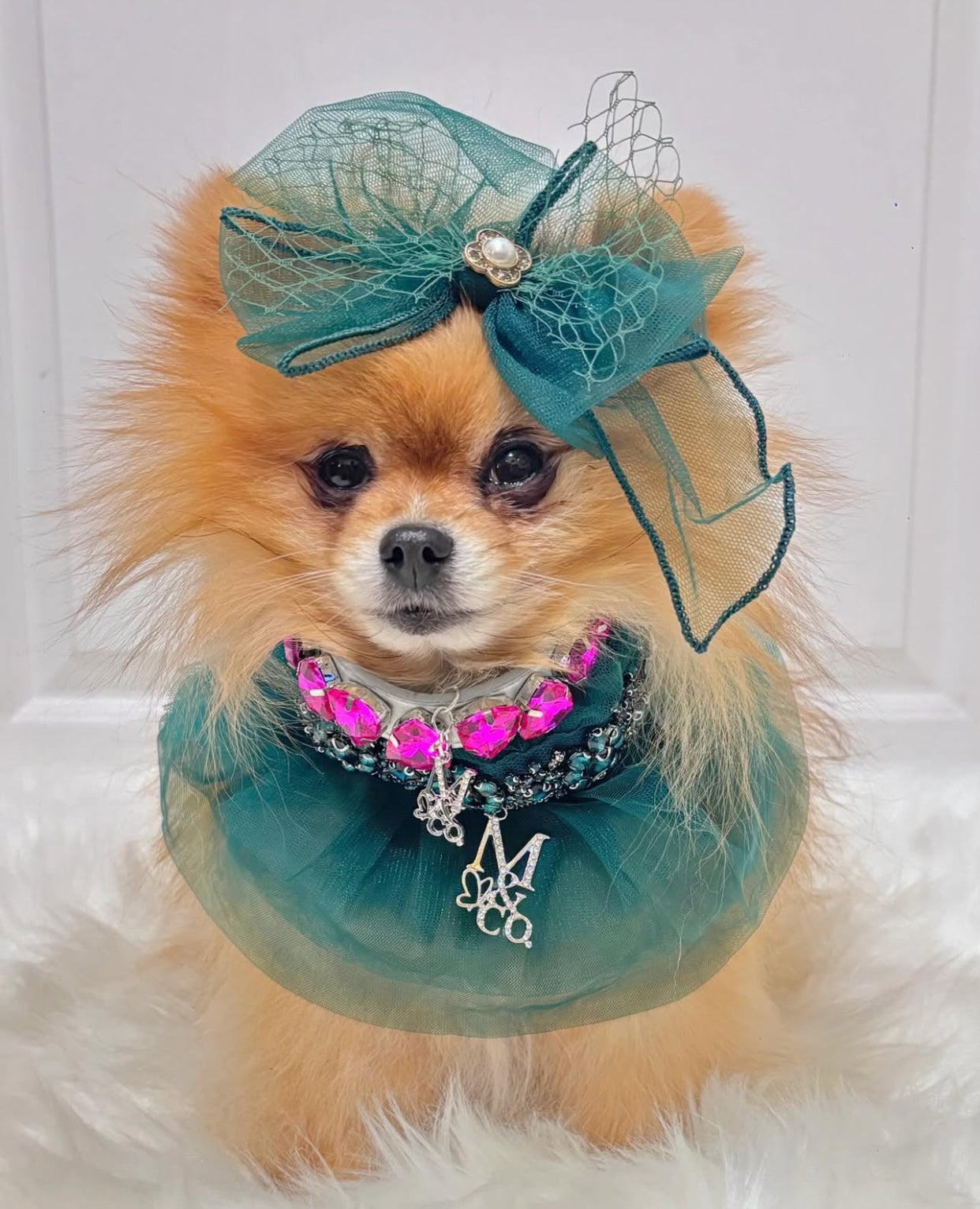 Signature: Green with Envy