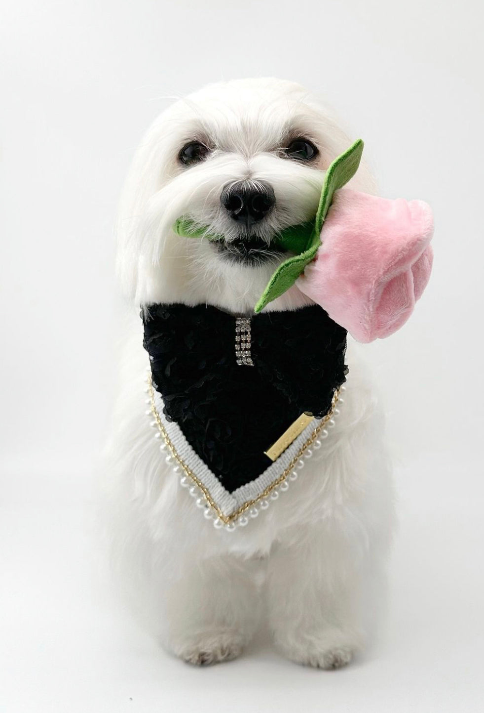 Forever Bliss: Formal Affair