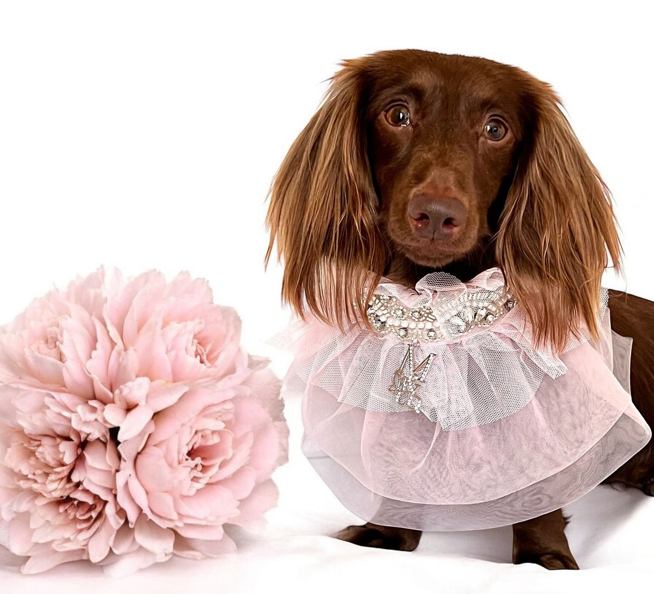 Whimsical Wedding: J’Adore