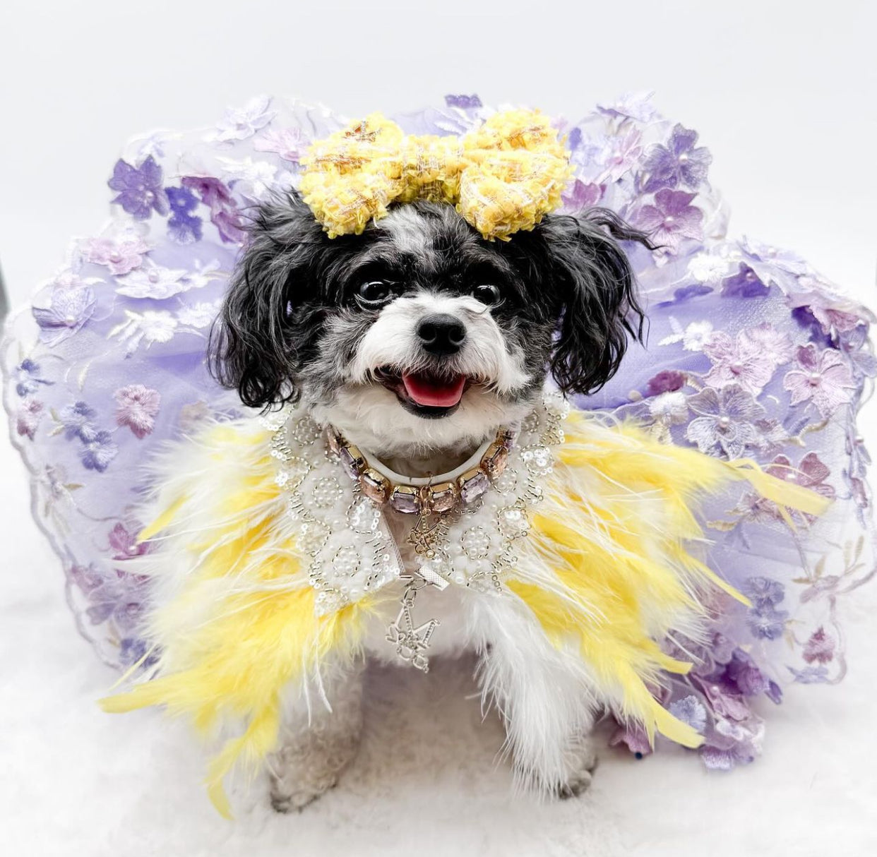 Fairytale Feathers: The Belle