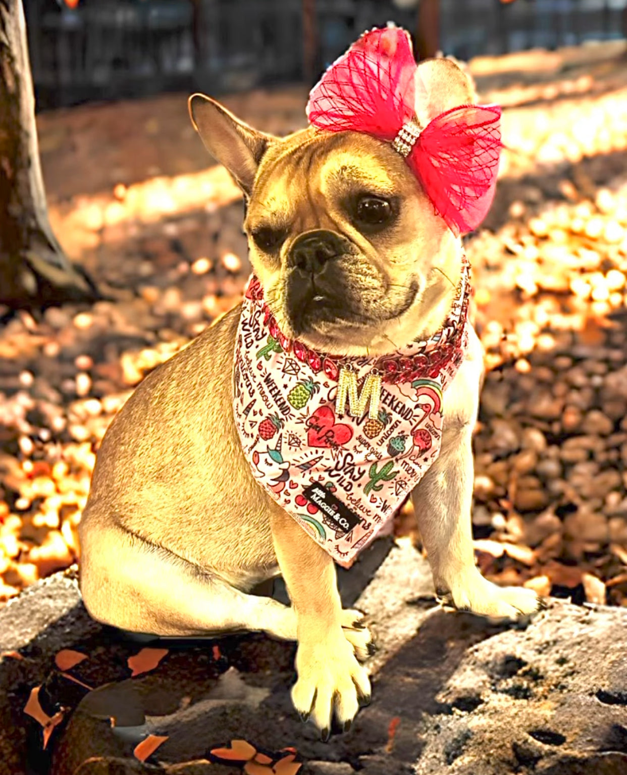 The Diva Cotton Bandana