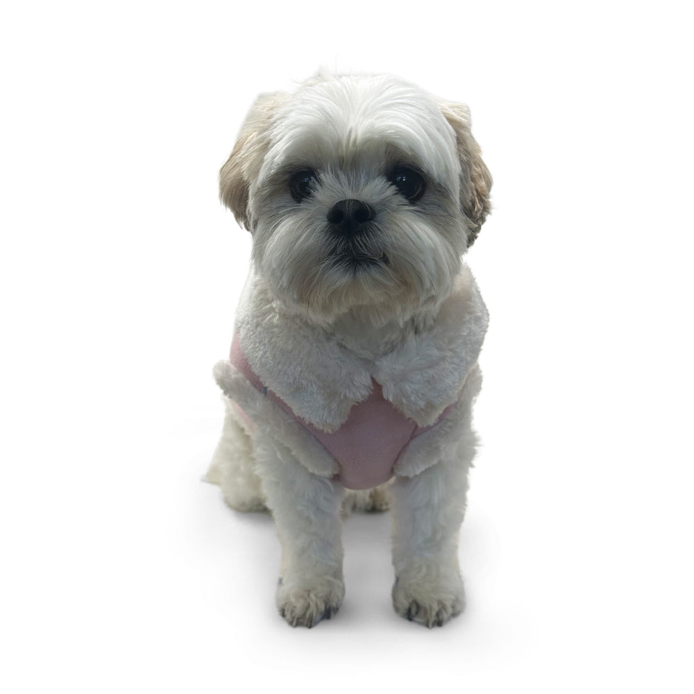 DOGO Furry Dog Runner Coat