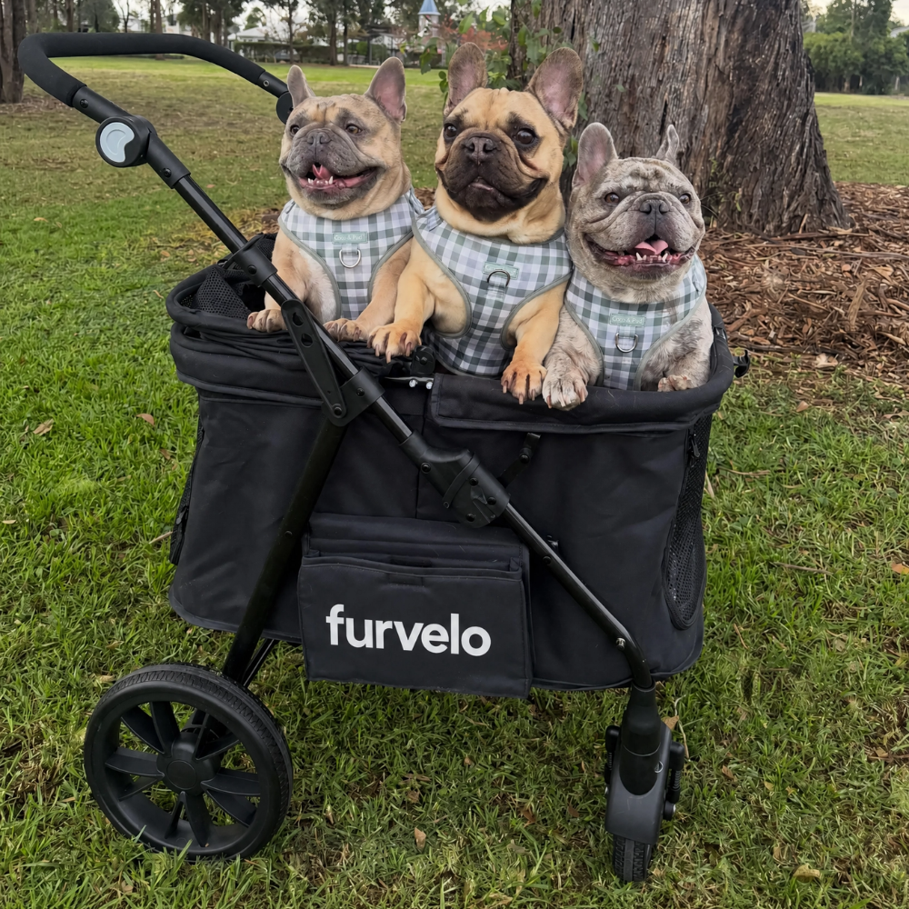 Furvelo Wagon Pet Stroller
