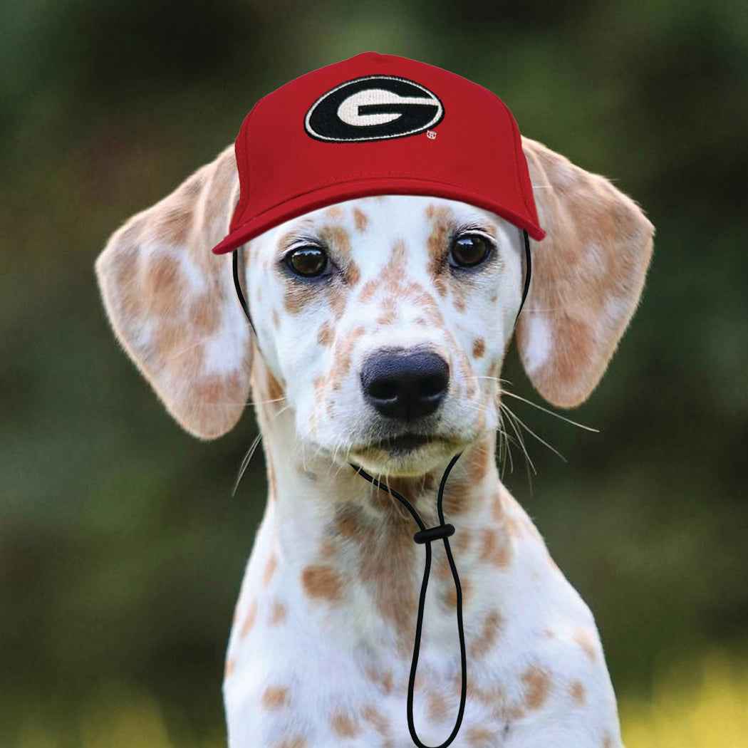 NCAA University of Georgia Bulldogs Dog Hat