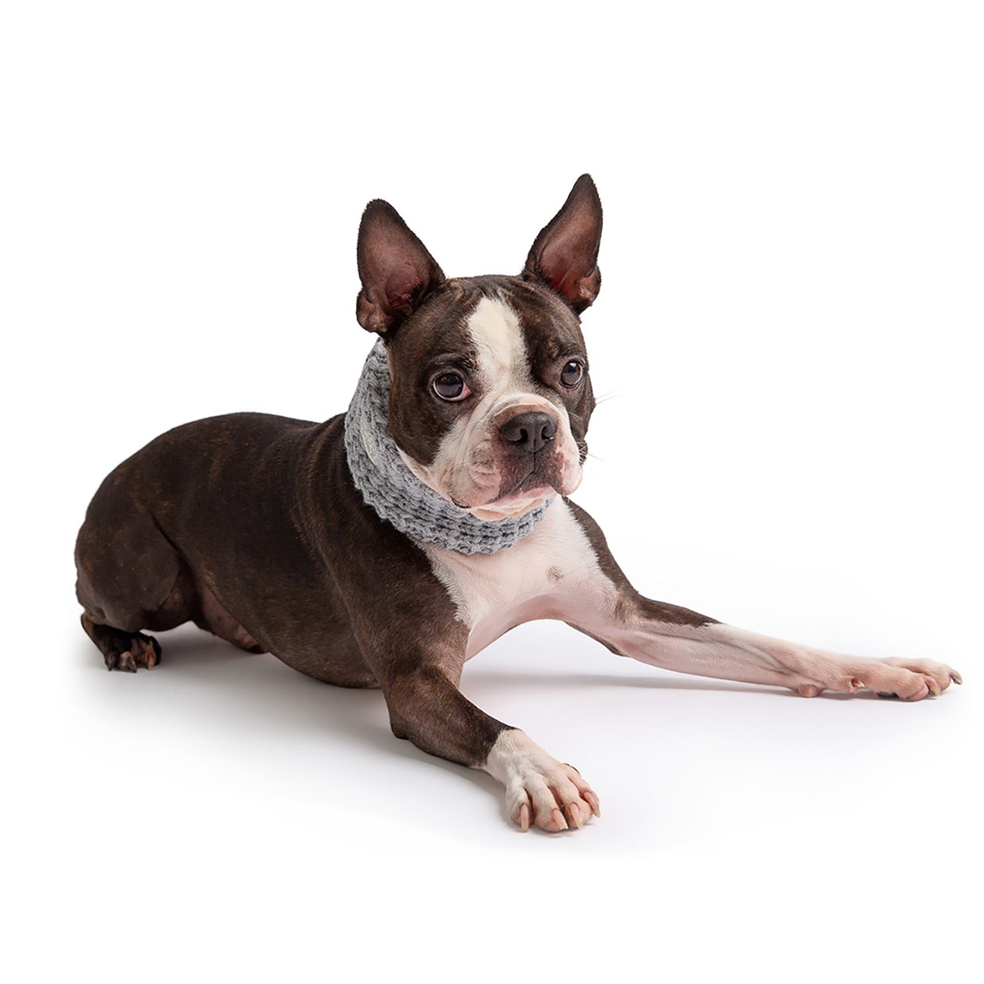 Chalet Tube Scarf - Heather Grey premium pet product