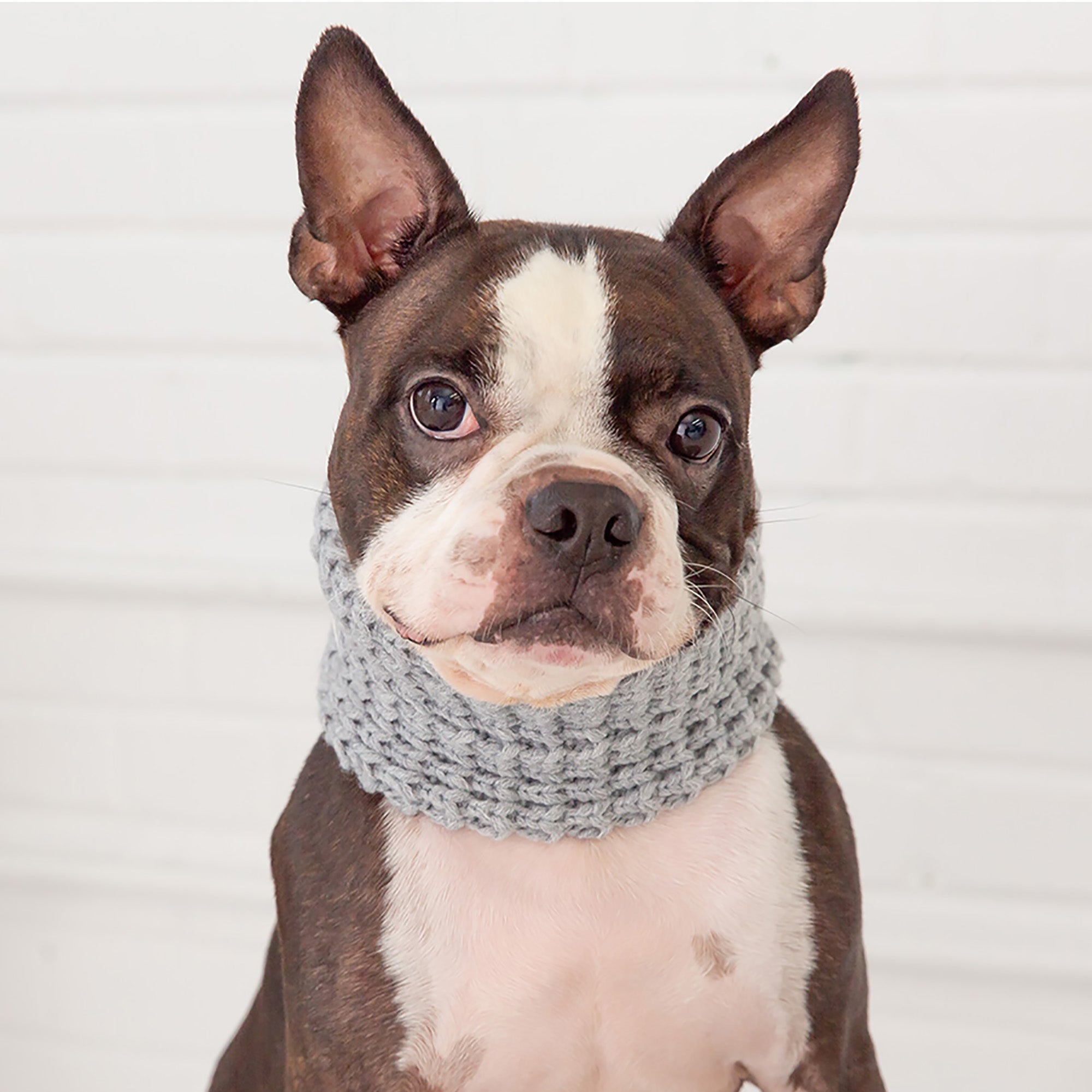 Chalet Tube Scarf - Heather Grey premium pet product