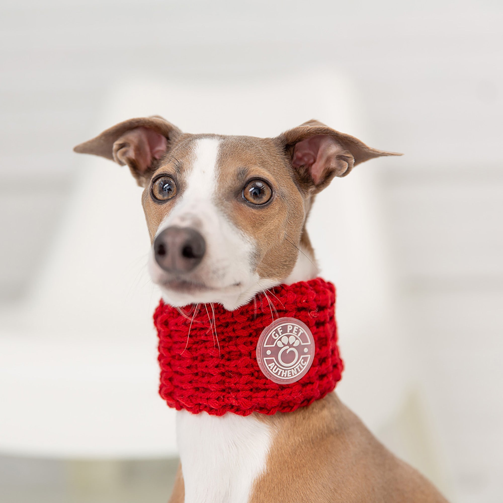 Chalet Tube Scarf - Red premium pet product