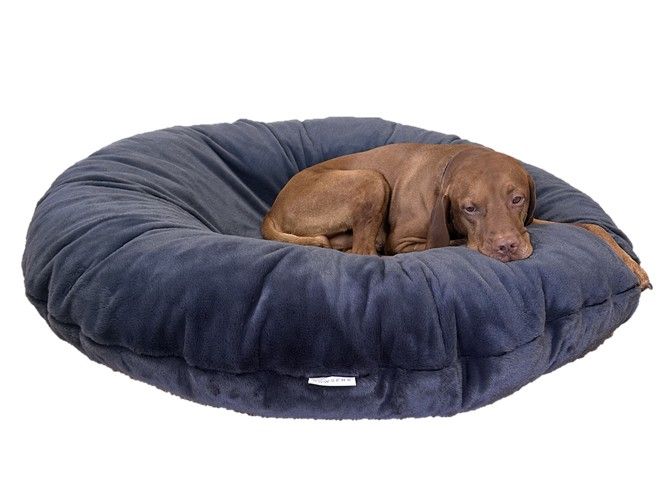 Bagel Bed - Pillow Insert Only